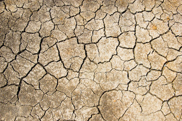 cracked ground for background.save the world environment concept