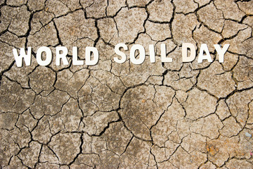 earth day and save the world and cracked ground for background .world soil day concept