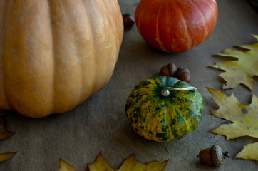 Three different color and size pumpkins on wooden table.
