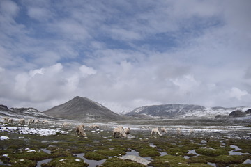 landscape with mountains and clouds