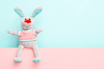 Funny bunny in a t-shirt sits on a skiey pink background