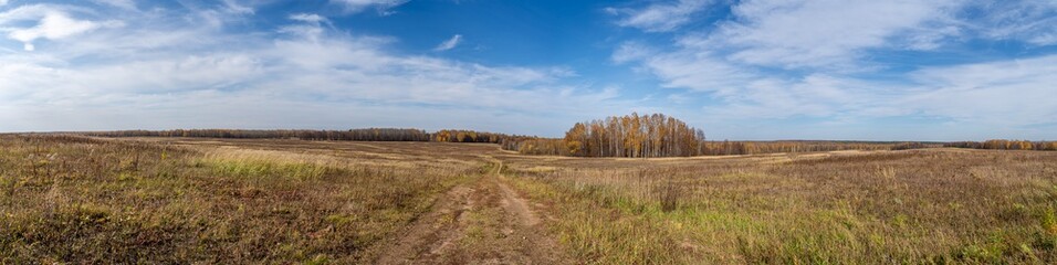 Panorama of the field with dirt roads, copses and forest in the background