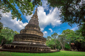 Natural background, large old pagoda (Wat Umong Suan Phutthatham), in Chiang Mai, is a famous tourist destination, tourists are always popular to make merit and see the beauty according to the seasons