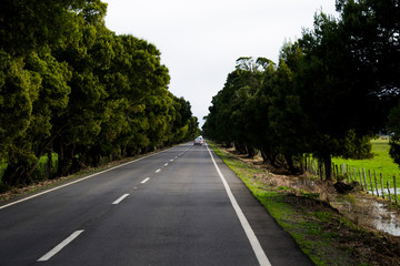 Carretera