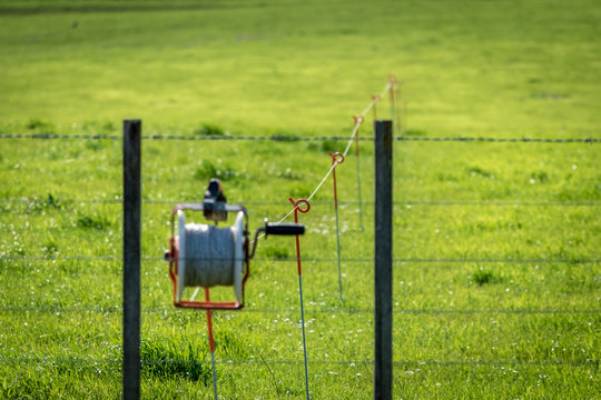 Electric wire running through a padock on a milk farm