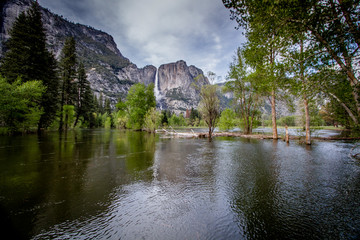 Fototapeta premium Yosemite Falls Spring flow