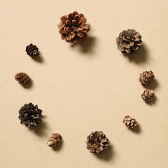 Pine cones on brown background. Autumn concept