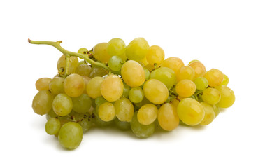bunch of grapes isolated