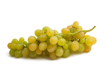 bunch of grapes isolated
