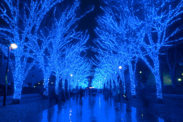 イルミネーション