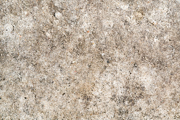 Texture of dry dirty concrete floor.