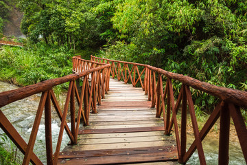 wooden bridge across the river  into the green forest
