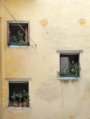 Fototapeta na wymiar Yellow wall of an old house with three small windows and potted plants on window sills