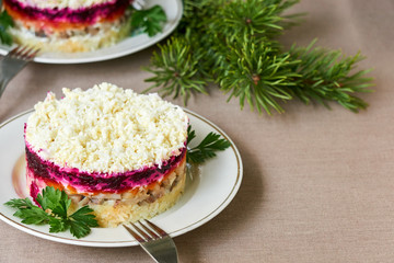 Layered vegetable salad with salted herring and eggs    