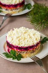 Layered vegetable salad with salted herring and eggs    