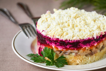 Layered vegetable salad with salted herring and eggs    