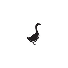 collection of cattle logo vector. duck design. - Vector