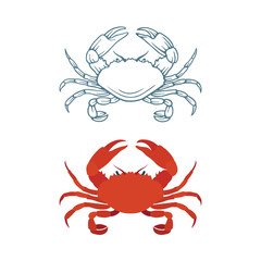 Crayfish. Sketch and realistic drawn crayfish vector illustrations set. Part of seafood set. 
