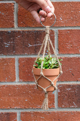 A mini jute twine macrame plant hanger is being held up with a nice red brick background.