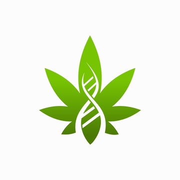 Cannabis logo with DNA concept