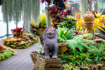 Blurred close-up natural background of leaves, bamboo leaves that rise in the park or by the roadside in the journey, the beauty of nature in spring