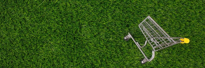 Shopaholic. Buyer. Shopping concept. Close-up. From above. Isolated shopping trolley on a background of green grass. Copy space. Banner.