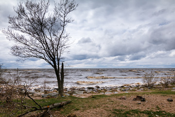 Fototapeta na wymiar shore of lake Ladoga, Leningrad region, Russia