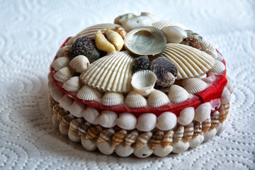 shell, sea, seashell, beach, white, nature, isolated, shells, mollusk, food, ocean, summer, shellfish, cockle, macro, collection, seafood, decoration, brown, life, aquatic, marine, object, seashells, 