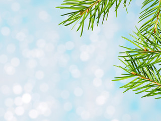 Naklejka na ściany i meble Spruce tree branches with blurry shiny bokeh. Winter holidays concept