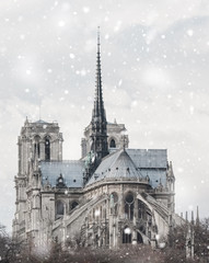 Notre Dame cathedral in Paris, France in winter
