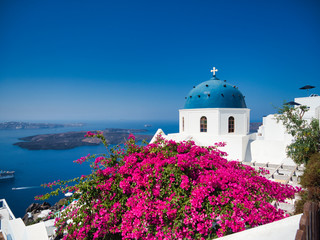 Obraz premium Blooming bush and white cathedral over blue sea