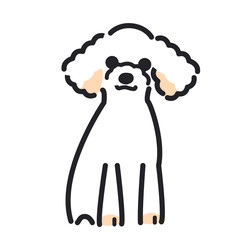 犬　ポーズ　表情　１匹　トイプードル