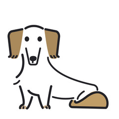 犬　ポーズ　表情　１匹　ミニチュアダックスフンド