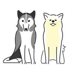 犬　ポーズ　表情　２匹　秋田犬　シベリアンハスキー