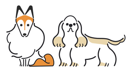 犬　ポーズ　表情　２匹　シェットランドシープドッグ　アメリカンコッカースパニエル