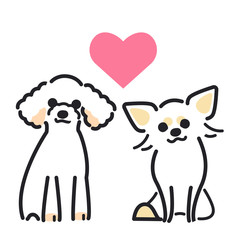 犬　ポーズ　表情　２匹　トイプードル　チワワ