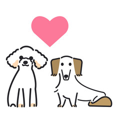 犬　ポーズ　表情　２匹　トイプードル　ミニチュアダックスフンド