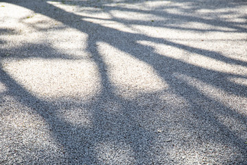 park Shadow