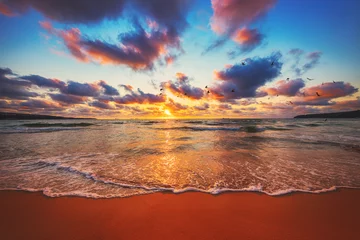 Poster Prachtige zonsondergang boven de tropische zee © ValentinValkov