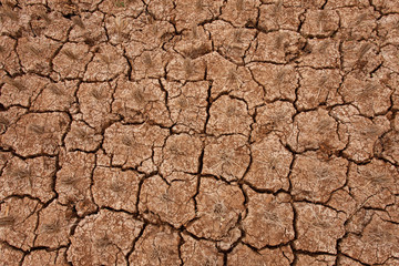 Global worming concept - cracked scorched earth soil drought desert landscape