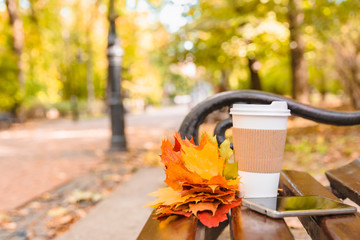 bouquet of yellow maple leaves with coffee cup and phone at city park bench