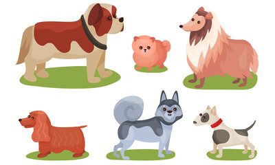 Fototapeta premium Vector Illustration Concept With Dogs Breed Isolated On White Background