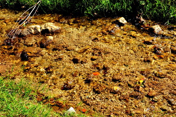 Typical landscape in the forests of Transylvania, Romania. Green landscape in the midsummer, in a sunny day