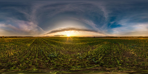 full seamless spherical hdri panorama 360 degrees angle view among fields in summer evening sunset...