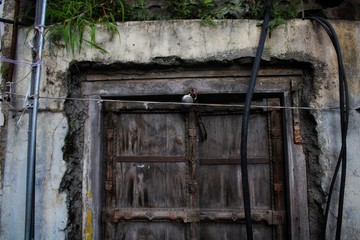 old wooden door
