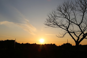 sunset in the park