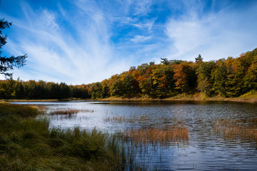 Fototapeta na wymiar Fall colour on lake Bourgeois, in Gatineau Park, near Ottawa, Canada. Lake has small waves due to wind, and lots of reeds can be seen. Gatineau Park, Quebec, Canada