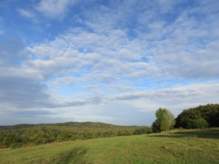view of sunny sky above green field