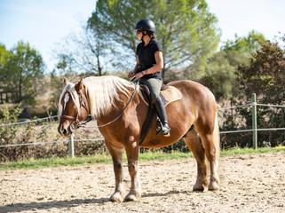 riding girl and comtois horse