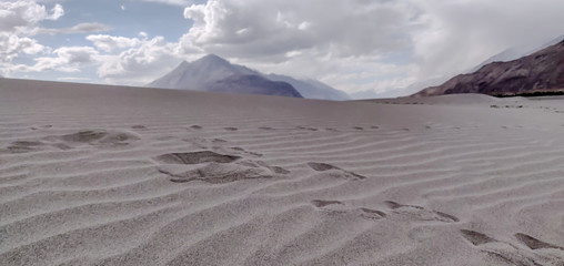 Nubra Valley of Ladakh. Nubra is a tri-armed valley located to the north east of Ladakh valley....